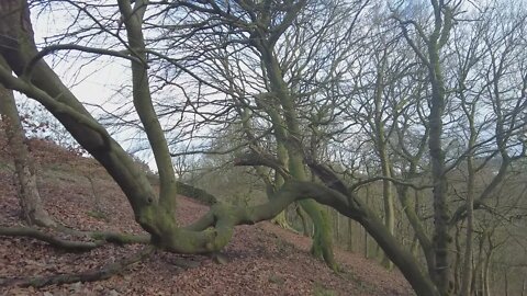 Walk along the top of Slowit looking down on the Huddersfield Narrow Cannel and the River Colne