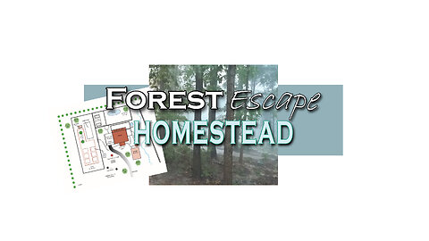 Forest Escape iPhone Head Mount for Video, Backhoe, Turkey Mites and Roads