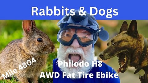 When Dogs Attack & That's A Rabbit?: Philodo AWD Ebike Adventure Mile 4804