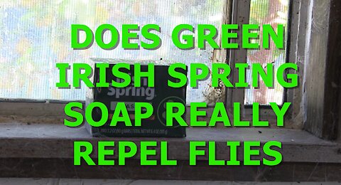 DOES GREEN IRISH SPRING SOAP REALLY REPEL FLIES