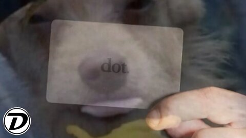 Dot Card Review