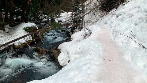 INCREDIBLE 4K WINTER ICE & SNOW ADVENTURE HIKING CREEKSIDE! | Tamanawas Falls | Mount Hood | Oregon