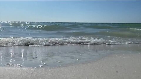 Respiratory warnings up for Sarasota, Manatee and Pinellas beaches over red tide