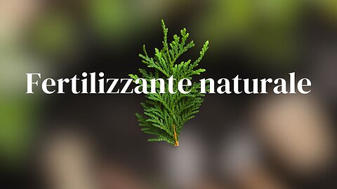 Fertilizzante naturale