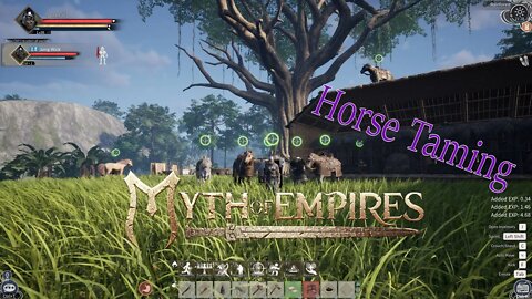 Horse Taming on Myth of Empires!