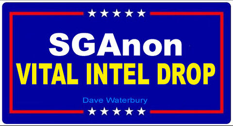 SG Anon Vital Intel Drop