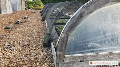 Summer Seedling Tunnel