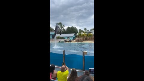 Sea World