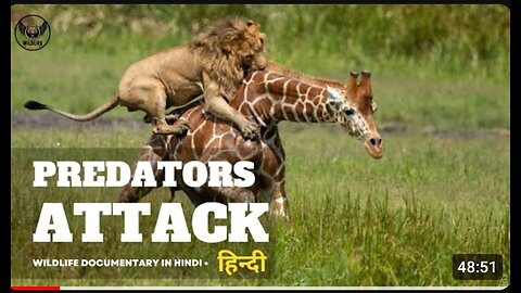 Predators Attack - हिन्दी डॉक्यूमेंट्री _ Wildlife documentary