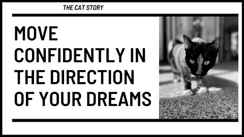 Move Confidently in the Direction of Your Dreams (the two cats story.)