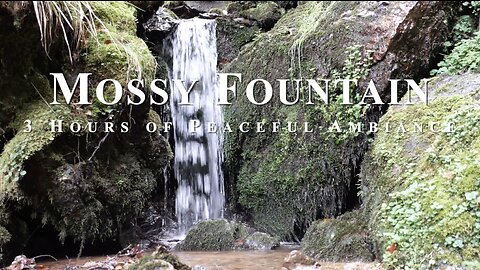 Tranquil Mossy Fountain | Serene Nature ASMR in the Enchanting Forest