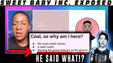 This Is Why All Games Are Woke: Sweet Baby Inc. Staff Exposé