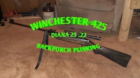 Winchester 425 / Diana 25 .22 *backporch plinking