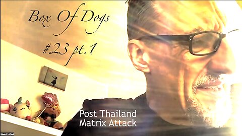 BoxOfDogs#23 STEVE HUGHES - Post Thailand Matrix Attack PART 1