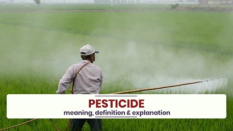 What is PESTICIDE?