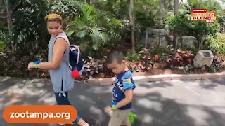 ZOO TAMPA TRAKID Explorer | Morning Blend