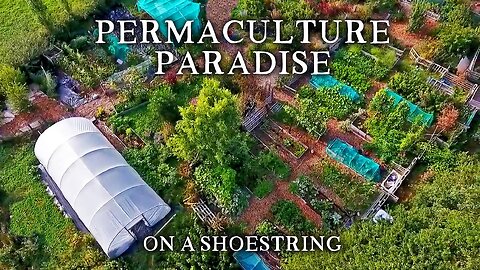 Inspirational Small-Scale Permaculture Homestead | Low Cost Self-Sufficiency on Less Than an Acre