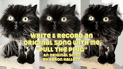 Write & Record an Original Song With Me "Pull The Plug" an Original Song by Aaron Hallett