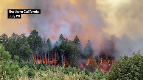 California Battles One of the Biggest Fires in State History