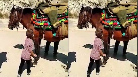 the son overcame the fear of the horse