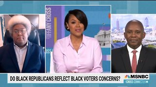 Republican Schools 2 Democrats On MSNBC: Stop Crying About Voter Suppression