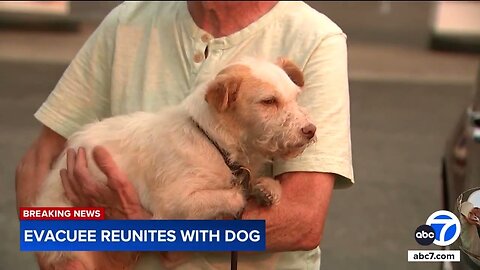 Man slept in car overnight waiting to be reunited with dog after fire evacuation