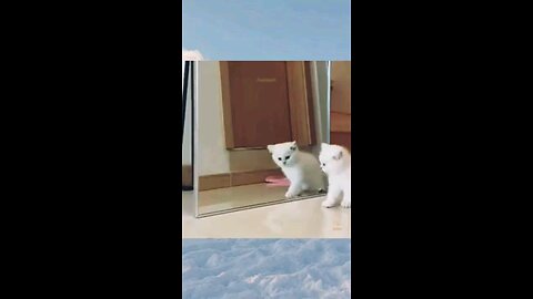 Funny animals 😋😎😎funny moments 😃😋☺