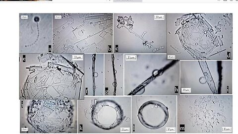 Conspiracy? Self assembling structures in VACCINE!