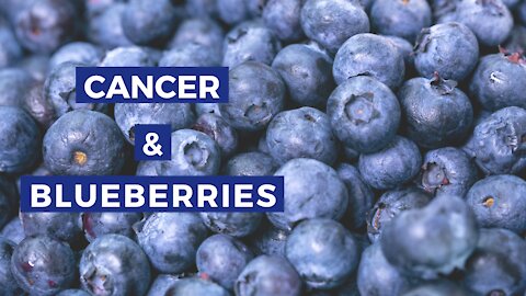 Cancer, Blueberries & Antioxidants