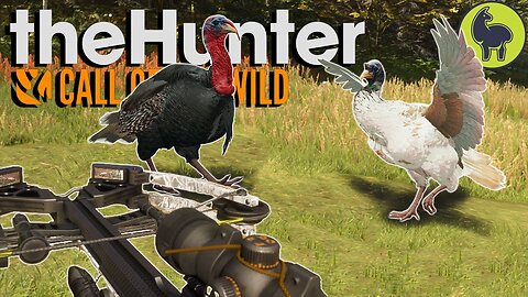 Gobble Trouble, Hunt Club Beta | theHunter: Call of the Wild (PS5 4K 60FPS)