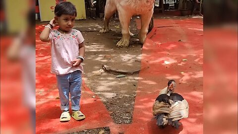 दादर प्राणी संग्रहालय | MARINE AQUA ZOO | siya vlog | DADAR