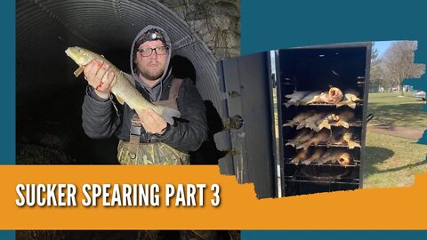 Sucker Spearing Part 3 / Sucker Spearing Michigan / Sucker Spearing 2021