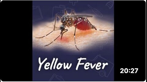 Sam Bailey: What You Need To Know About Yellow Fever