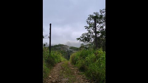 4x4 Kauai to Jurassic Park Gate