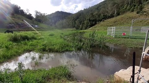 Paradise after the rains by a spring fed creek