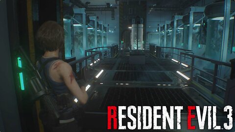 Psychotic Playground (8) Resident Evil 3 (2020)