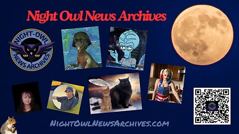 Night Owl News Archives 'Fun Friday Free For All' - 07/05/2024