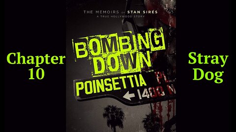 Bombing Down Poinsettia Chapter 10 'Stray Dog' (podcast audio version)