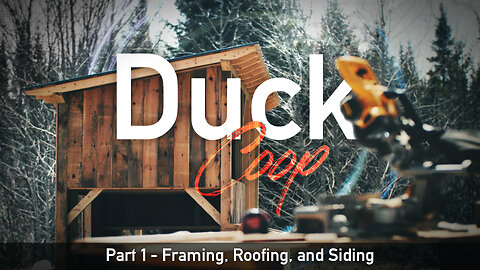 Building a Home for Our Ducks: Part One - DIY Duck Coop