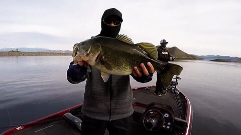 Throwback - 7.4 lber Diamond Valley Lake, Hemet, CA