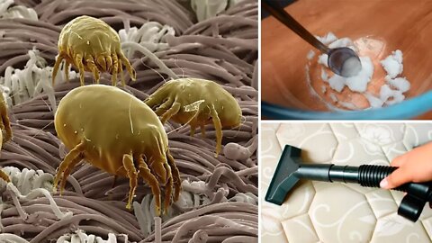 How to Remove Dust Mites From A Mattress Fast