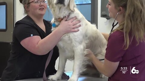 CSI's new vet tech facility and hands on learning opportunities