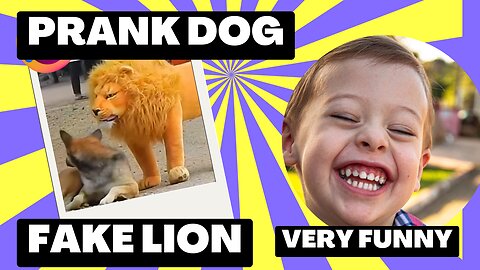 Funny Dog Prank with Fake Lion