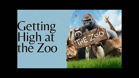 Getting High at the Zoo with my GF