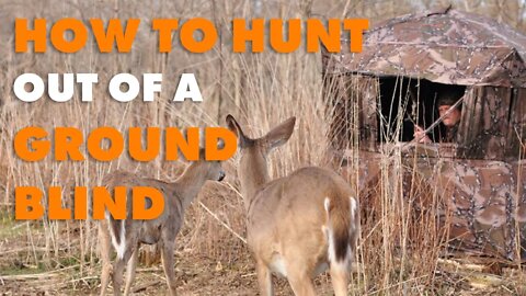 How to Hunt Out of a Ground Blind