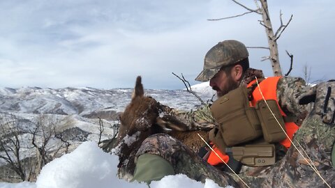 Late season Cow Elk Hunt 2022 - The Mountain provides.