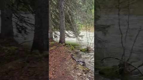 Similkameen River in Manning Park