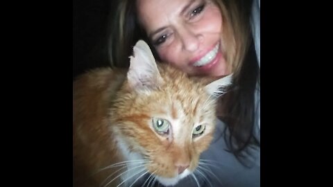 Episode 254: Cannabis Extended Her Dying Cat's Life By 3 Years