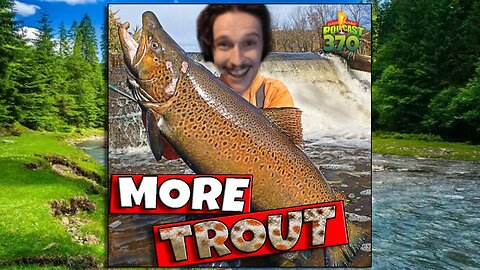 More Trout - Clever Name Podcast #370