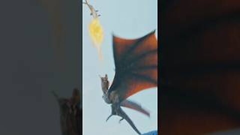 Daenerys Targaryen dragon 🐉game of thrones web series 🤩#daenerystargaryen #dragon #gameofthrones